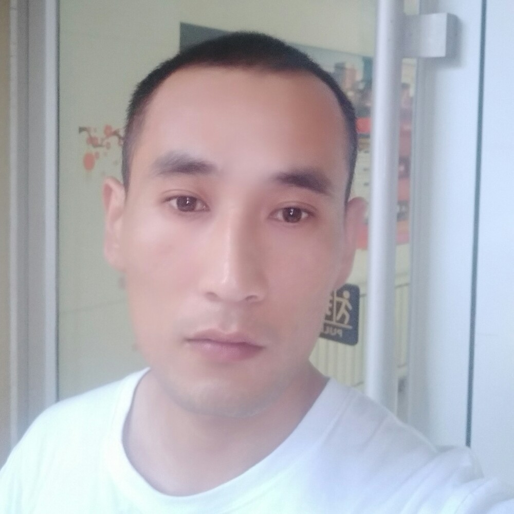 无可取代的迎沉静的照片