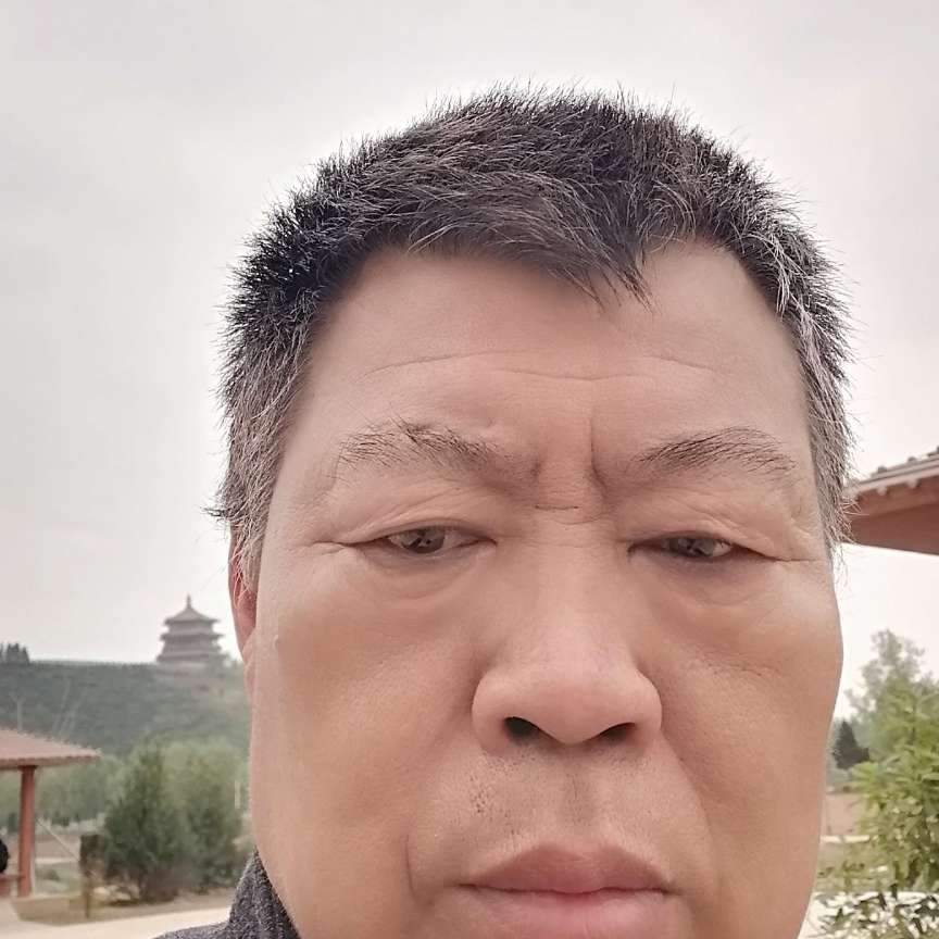 羽毛爱恋寂寞的照片