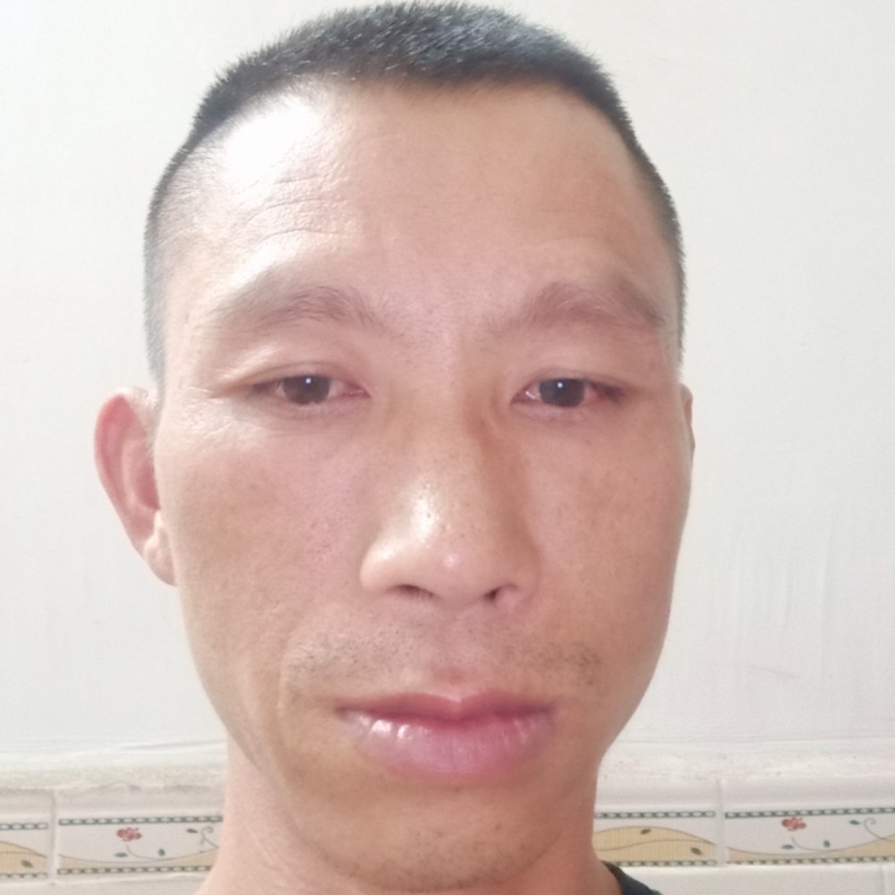 羽中飞翔的照片