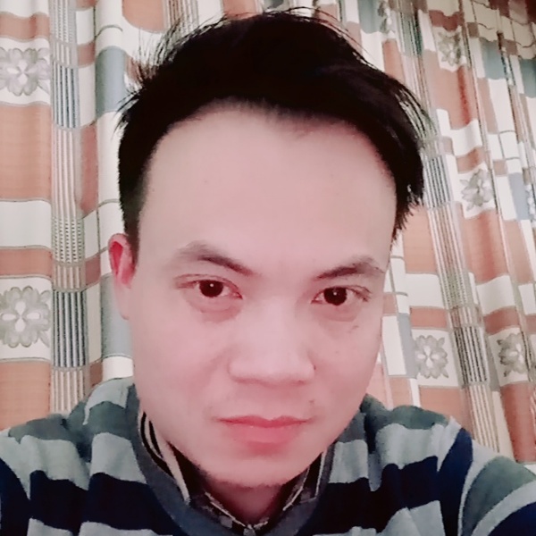 向阳树的照片