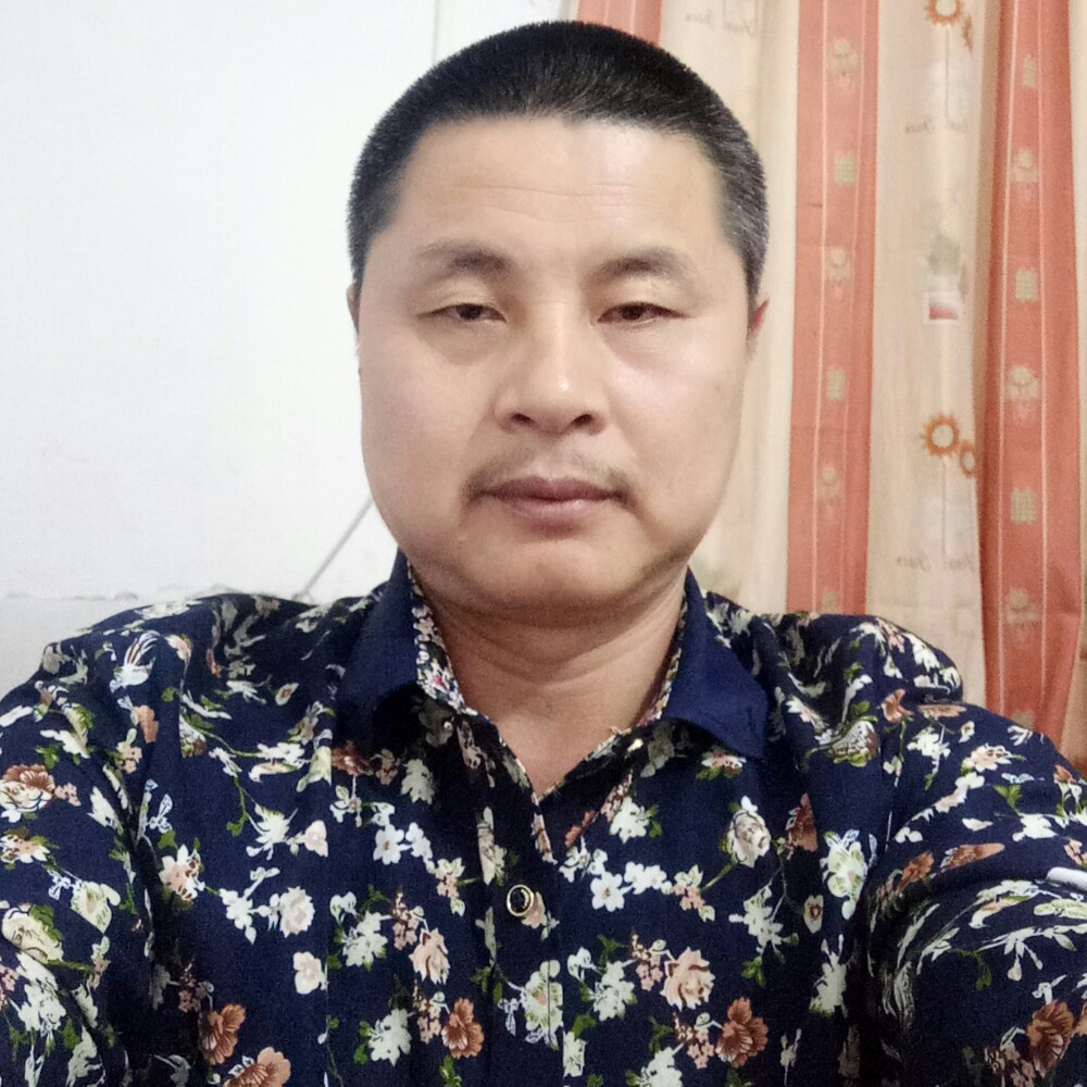 傲娇发卡的照片