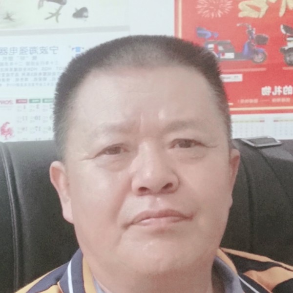 猫咪说深情的照片