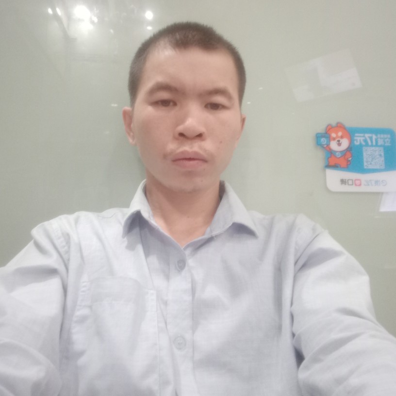 阳光爱恋忘忧的照片