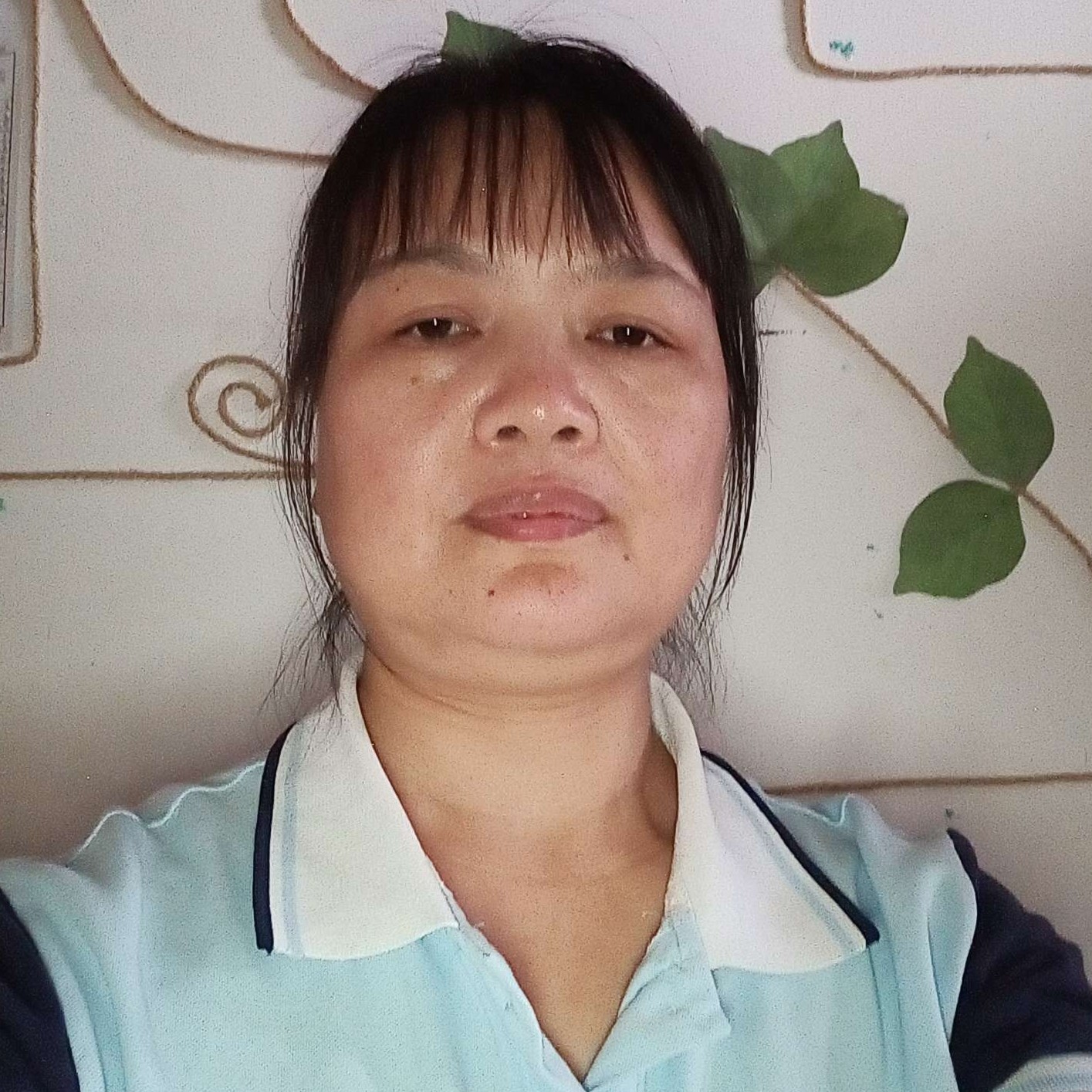 火车挽手華麗的照片