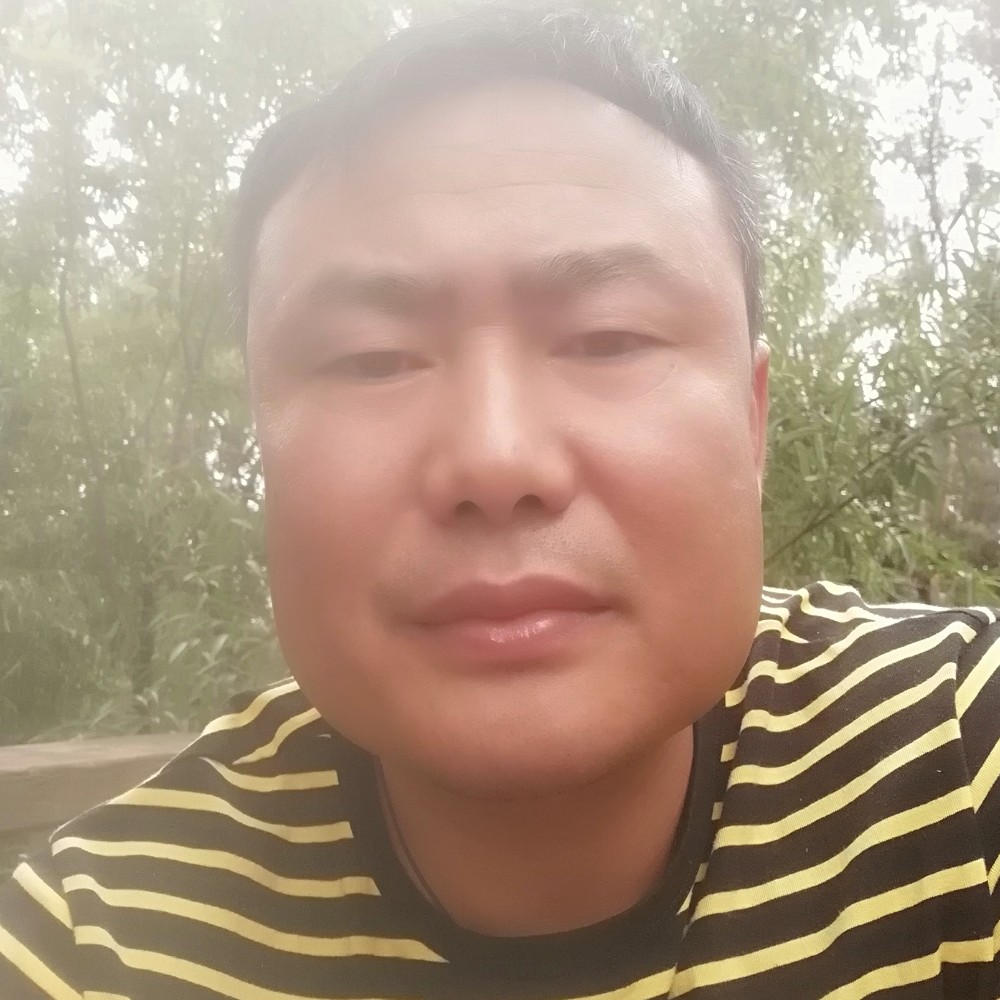 阳光深拥余音的照片