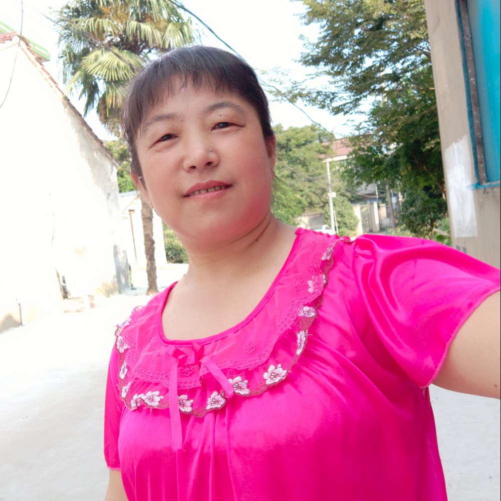 菊花朵朵。的照片