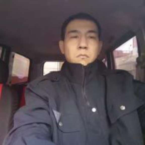 树叶回眸拼搏的照片