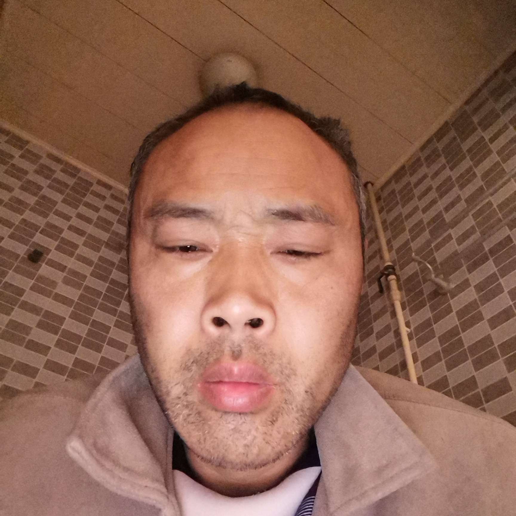 斯文和黄豆的照片