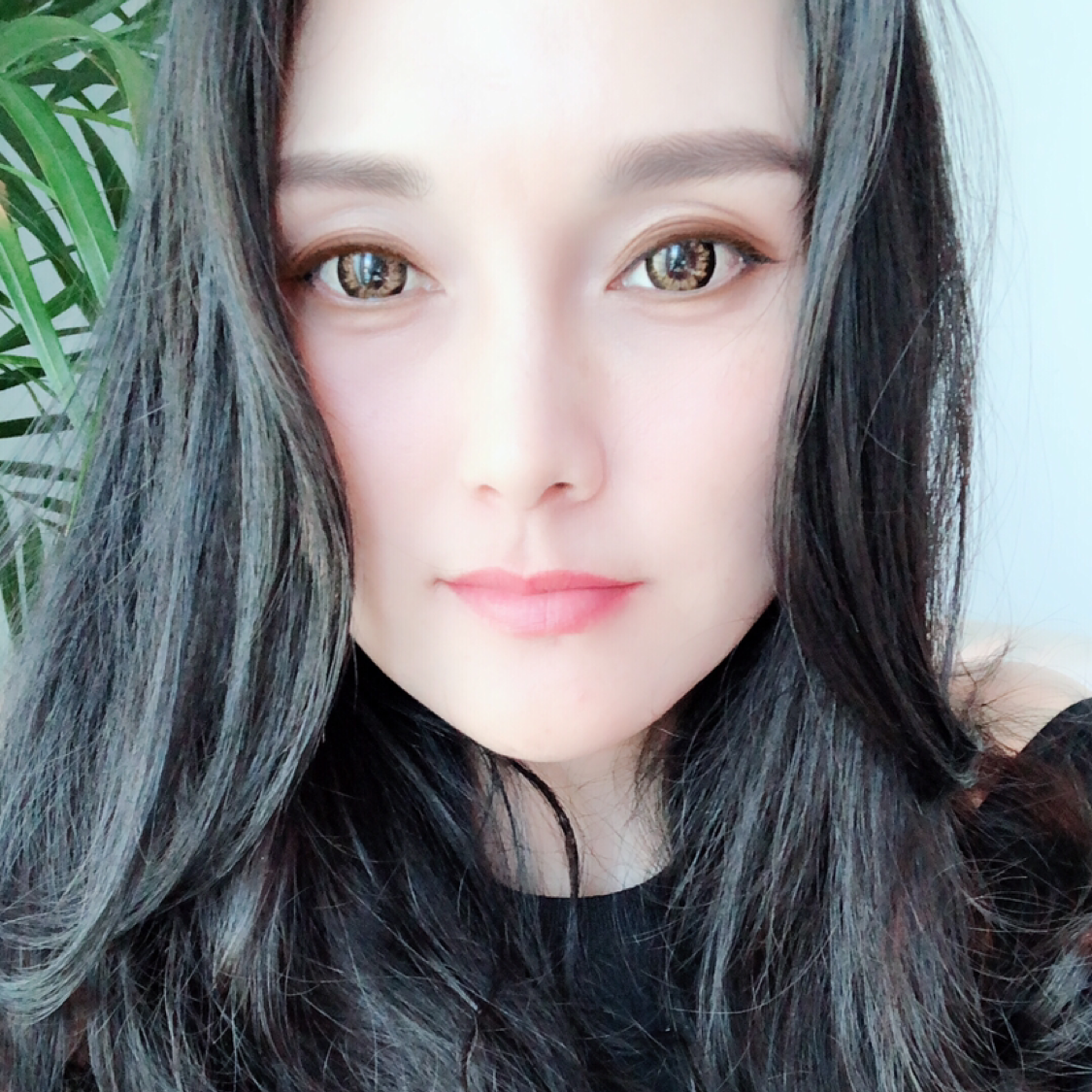 烟轻雨柔的照片