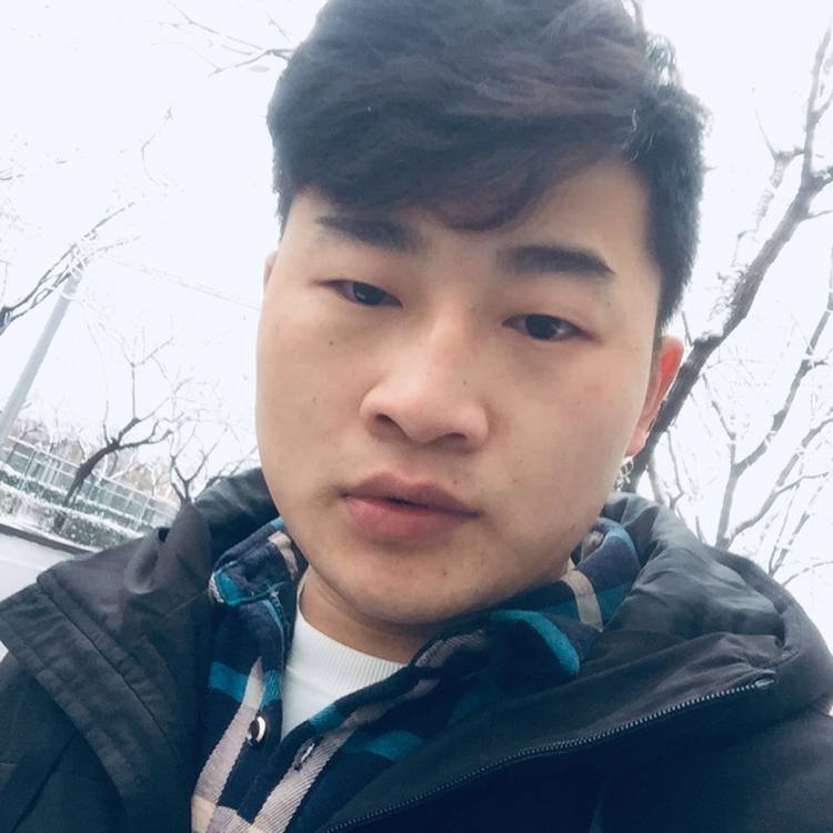 欣喜浅吻小猫咪的照片