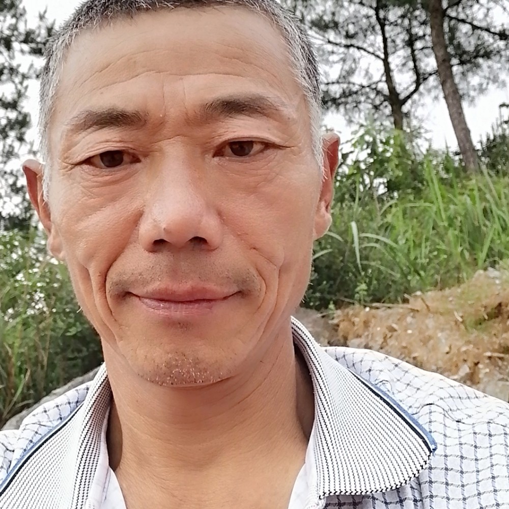 高山上的桂花树的照片
