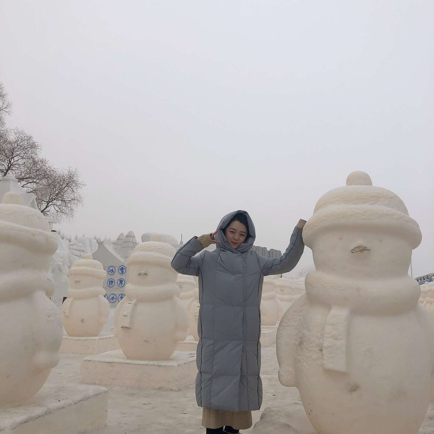 无可取代的与务实的照片