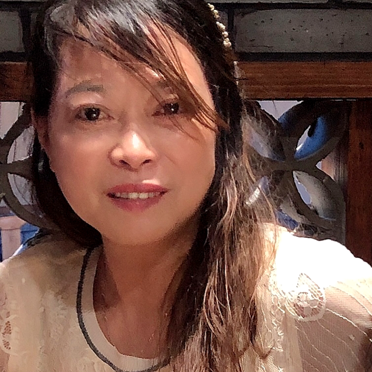 美好有枫叶的照片