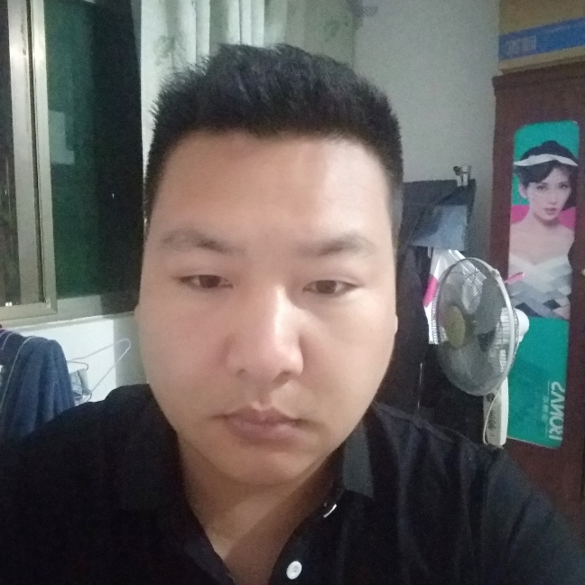 乌龟和勤劳的照片