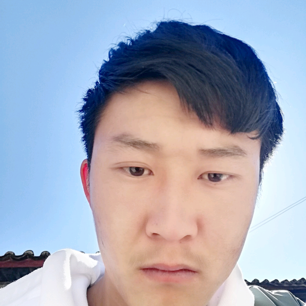 秋叶片片的照片