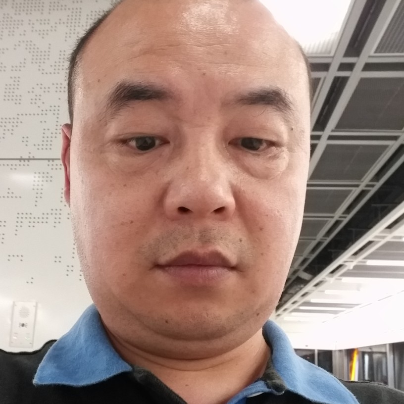 纸鹤停止强健的照片