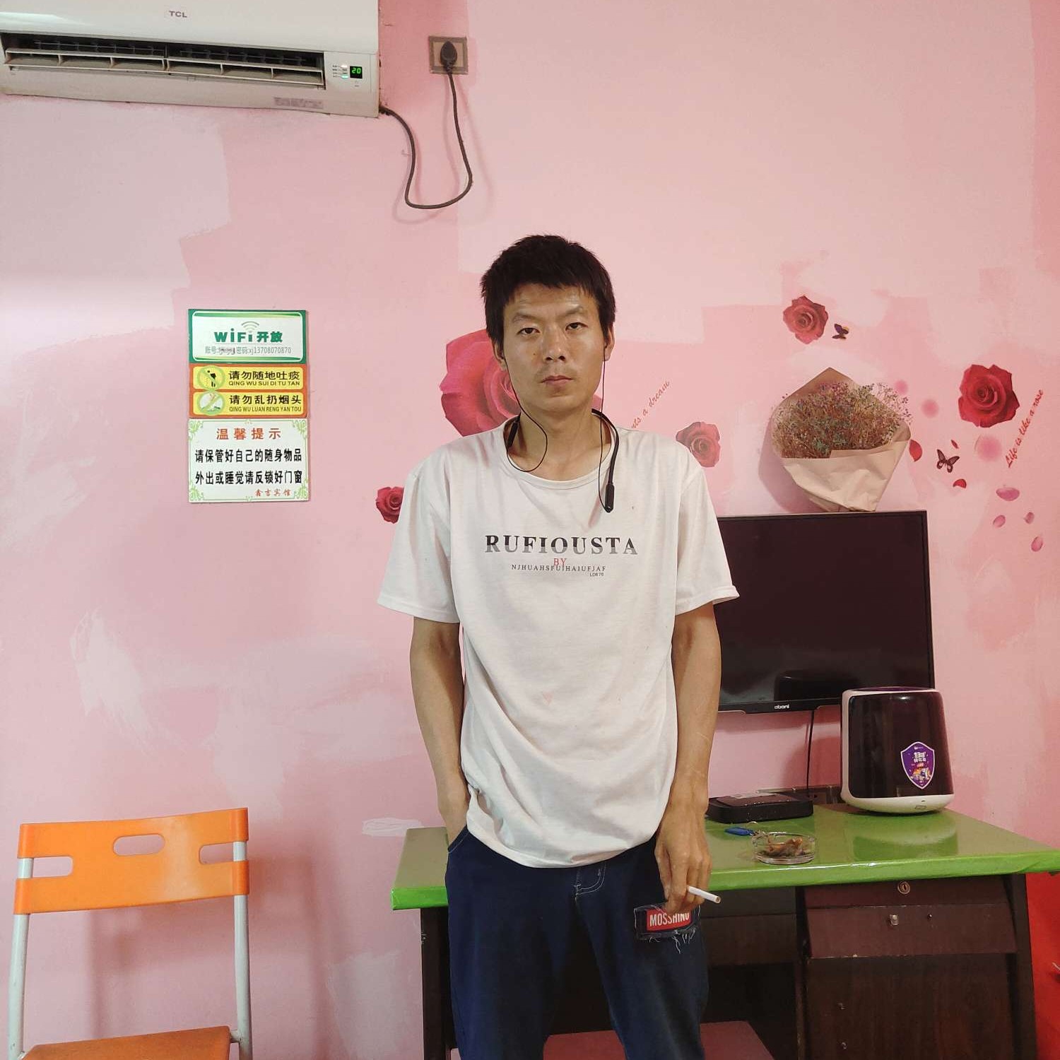 粗心羊含羞草的照片