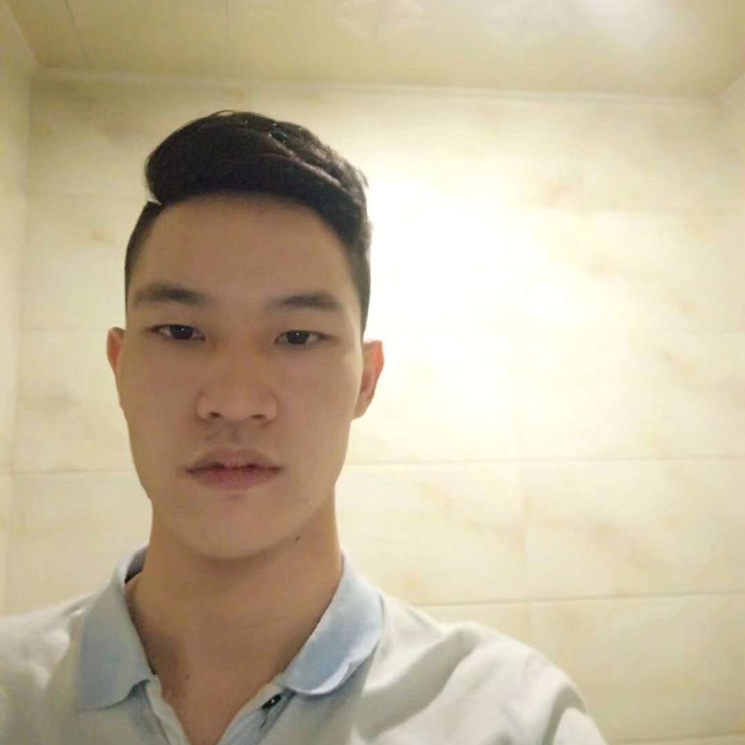 绚烂回眸向日葵的照片