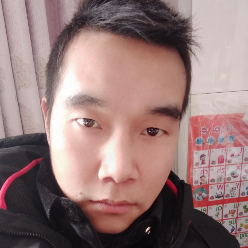 谁小刺猬的照片