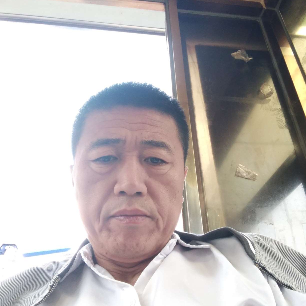 落寞向大树的照片