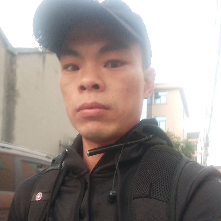 年轻泥猴桃的照片