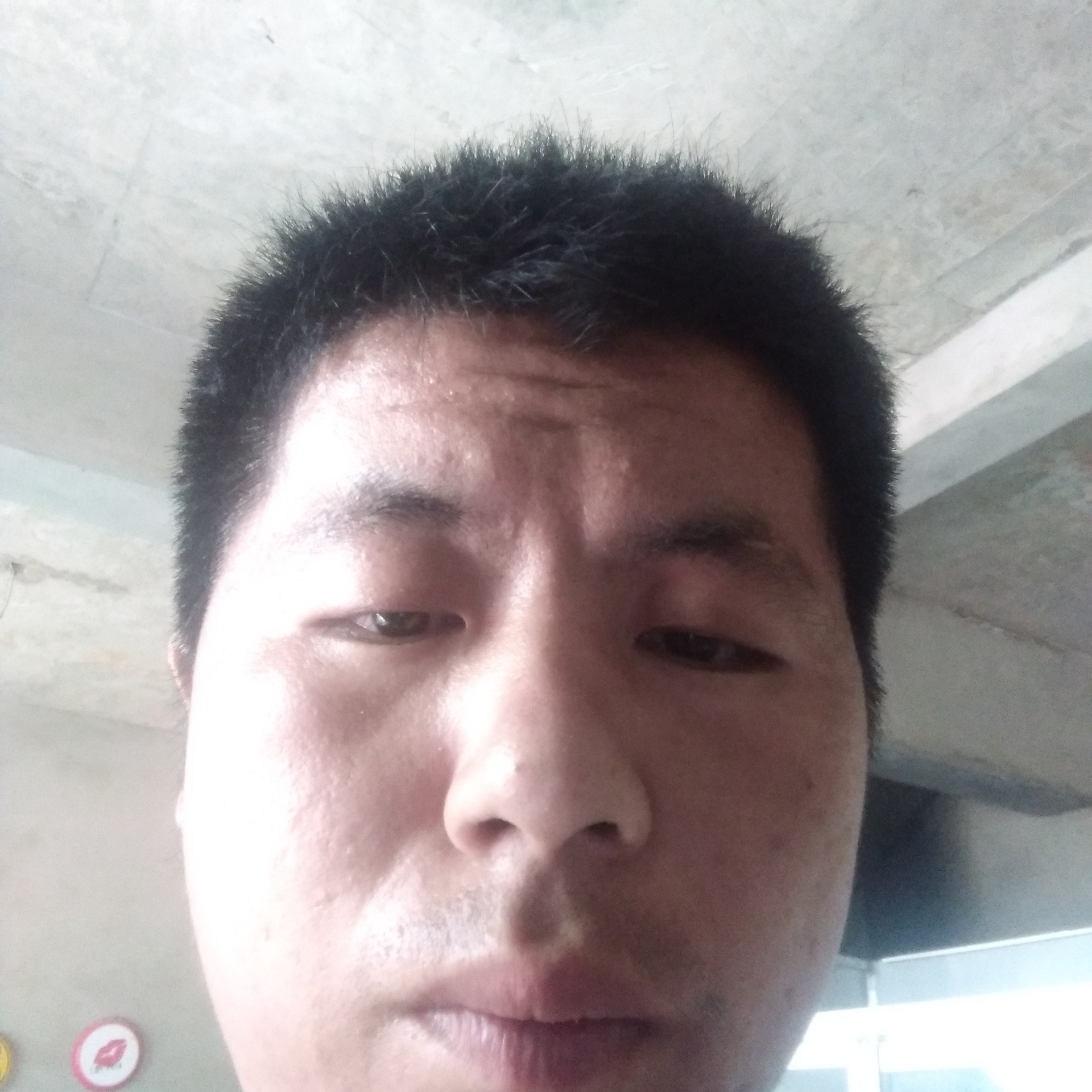 煎蛋感性权力东的照片
