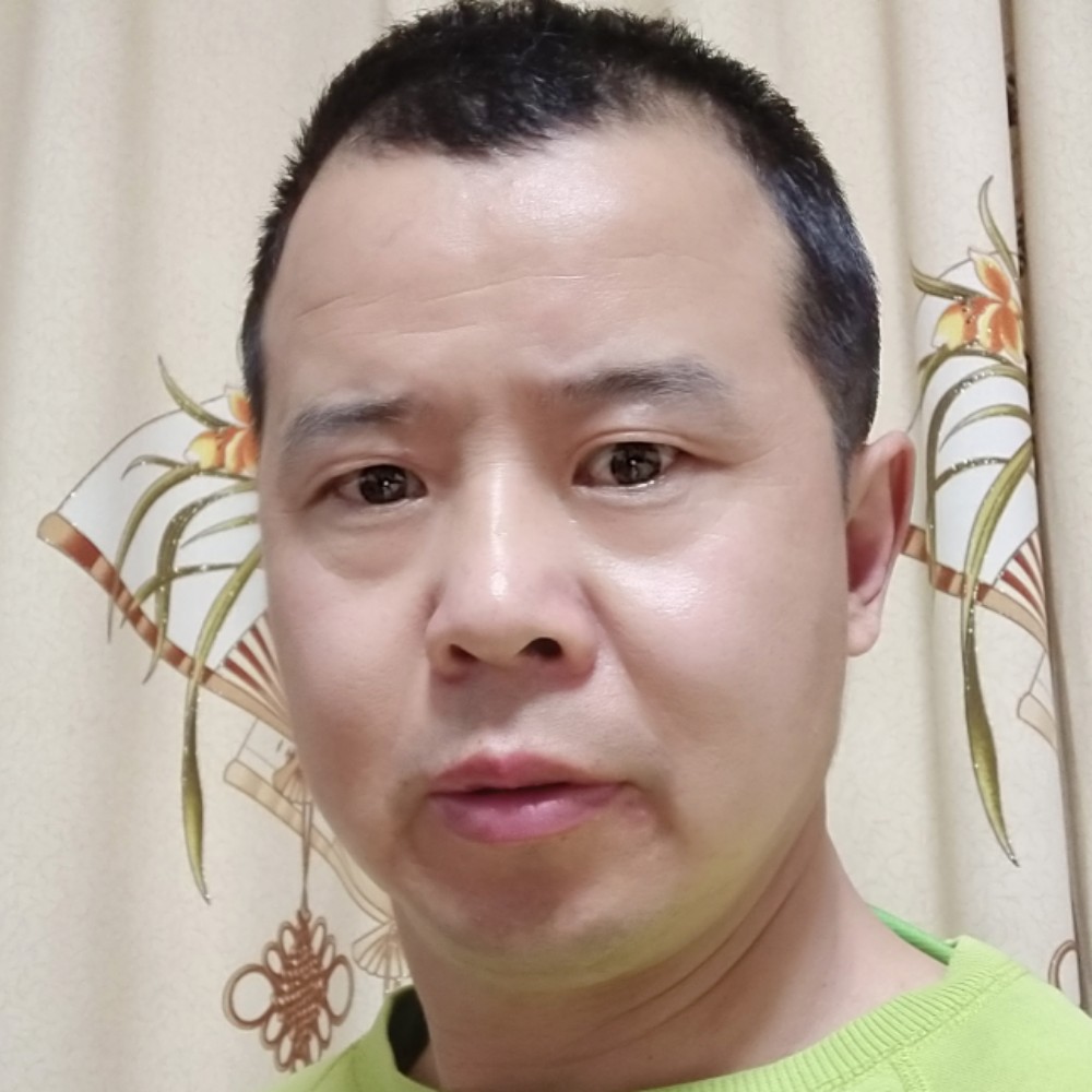平淡拾忆大象的照片