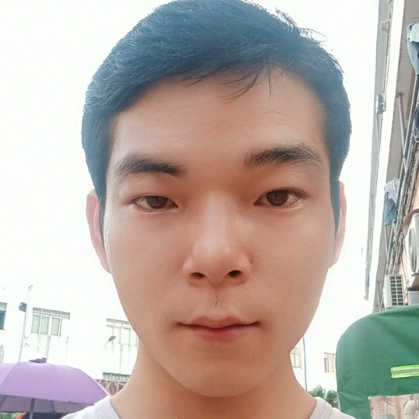 小懒猪端庄的照片