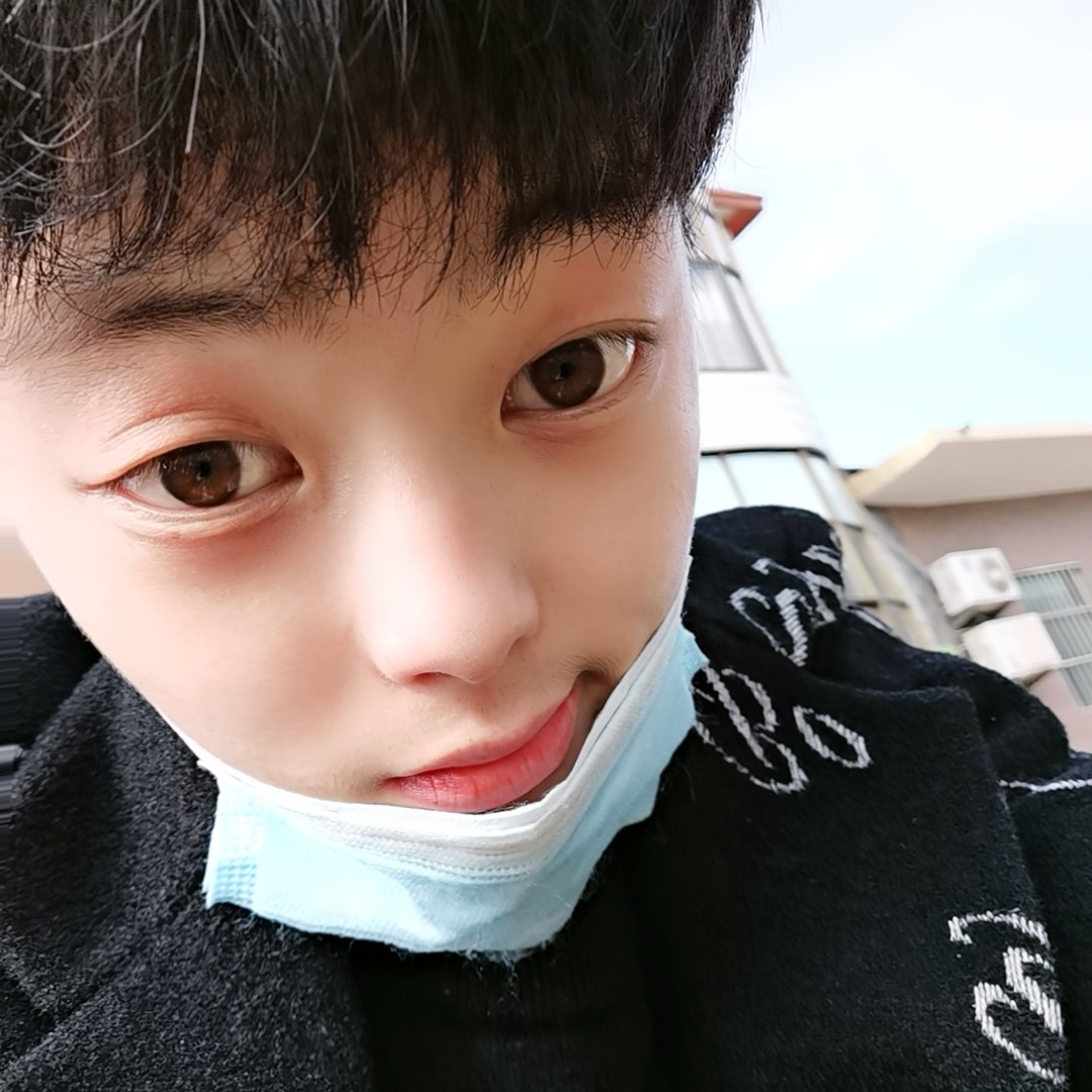 大雁和单纯的照片