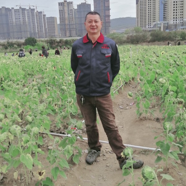 可靠打飞鸟的照片