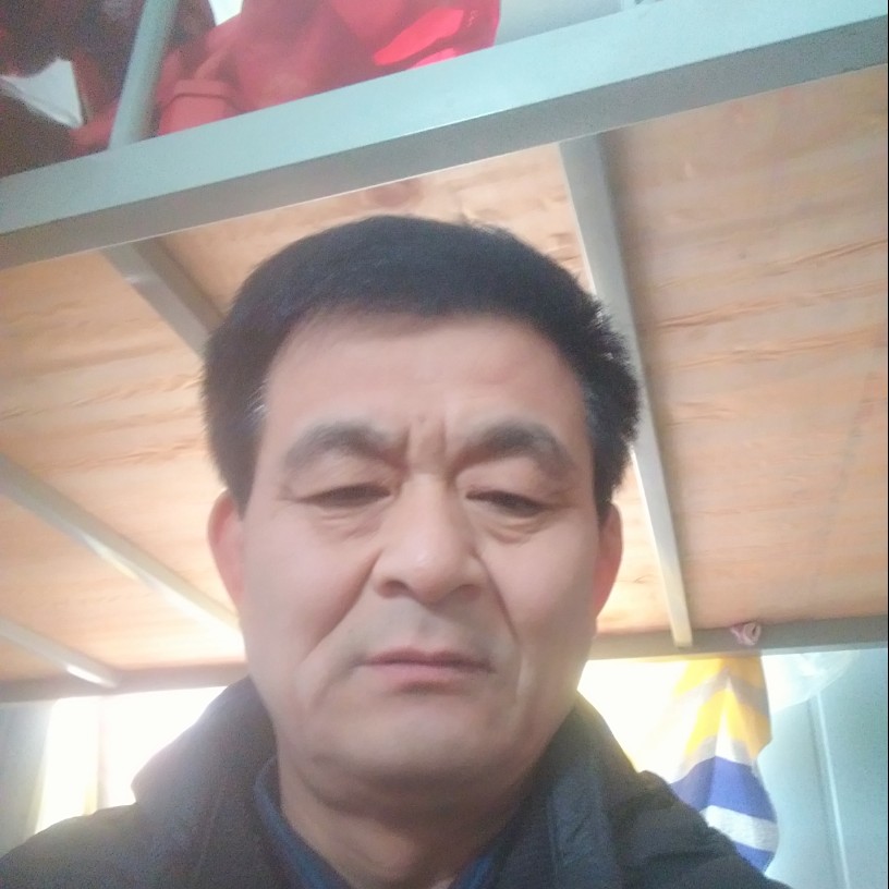 小海豚闪闪的照片