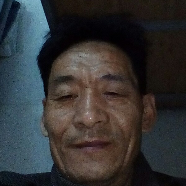 孤独的野马的照片