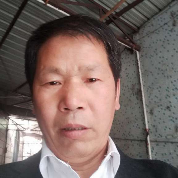 哈密瓜泪了腼腆的照片