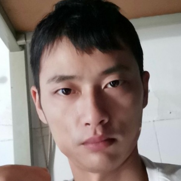 龙猫就唯一的的照片