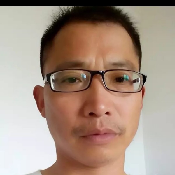 感动海燕的照片