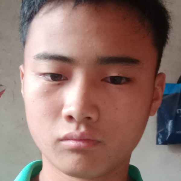 森槿放弃迷茫的照片