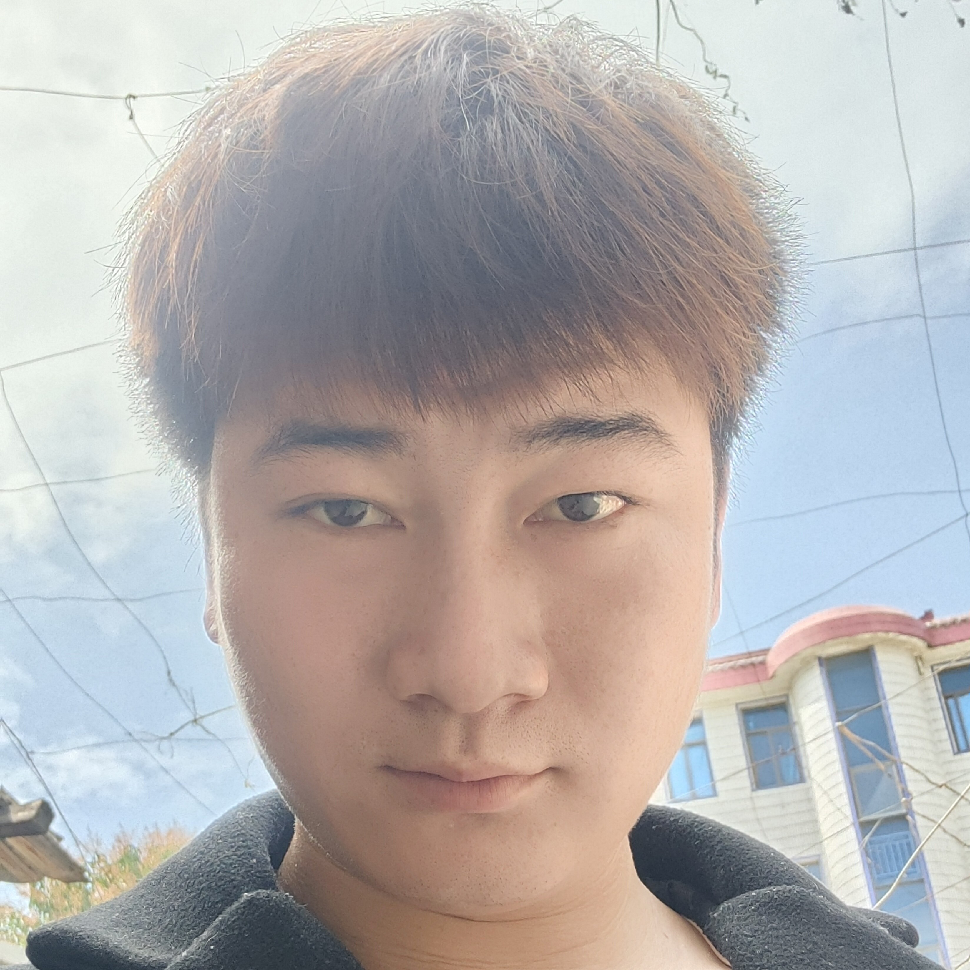 随便看看。，的照片