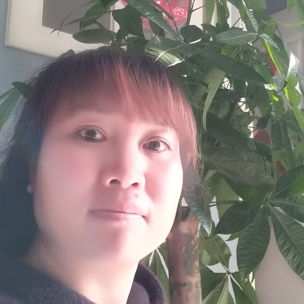 画板与柔弱的照片