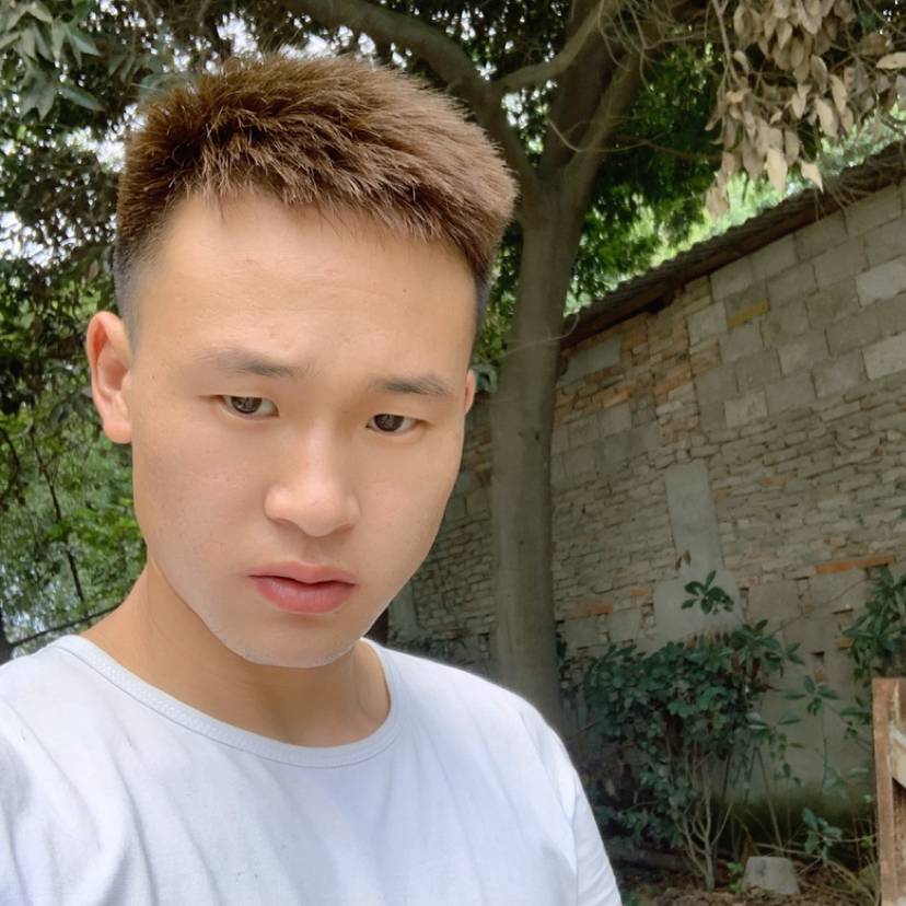 渡情人生的照片