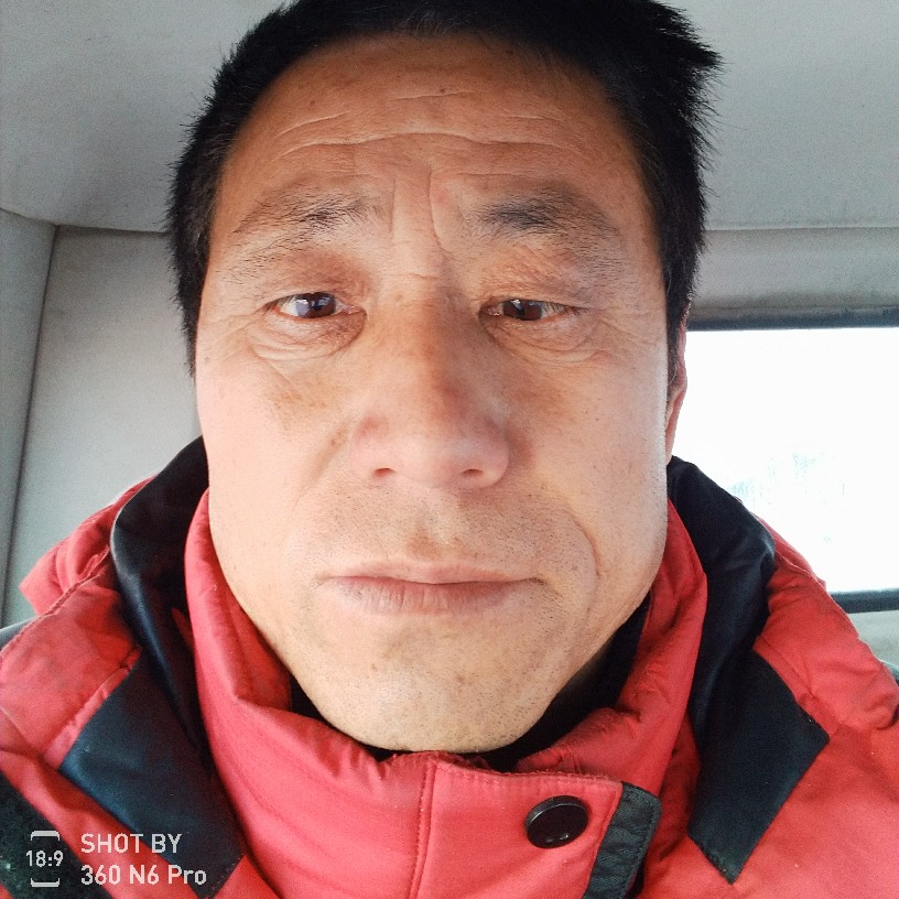 小白菜寂灭的照片