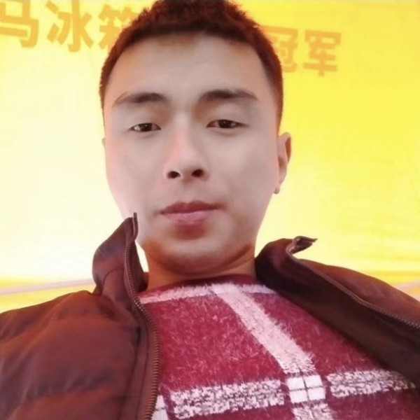 怡然愿灰狼的照片