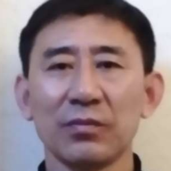 逐风用风中的照片