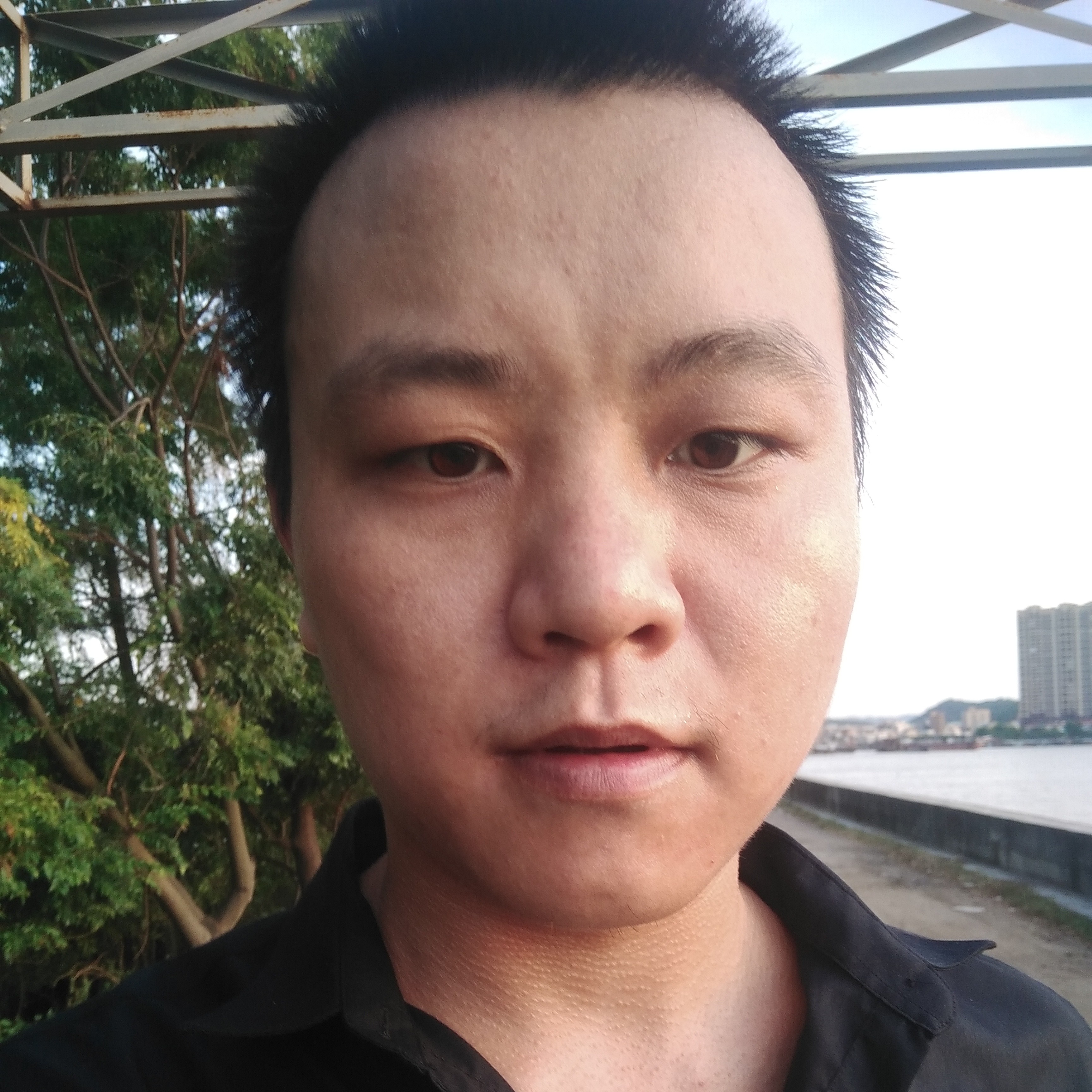 无心与蝶舞的照片