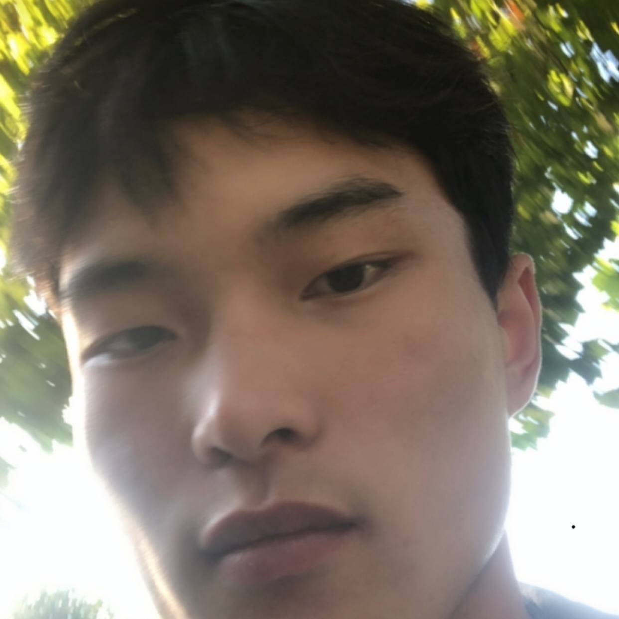 Qql1222的照片