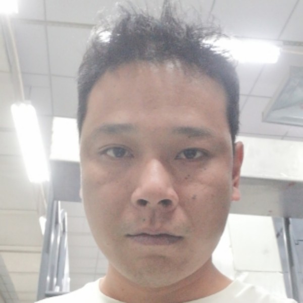 小天鹅打大意的照片