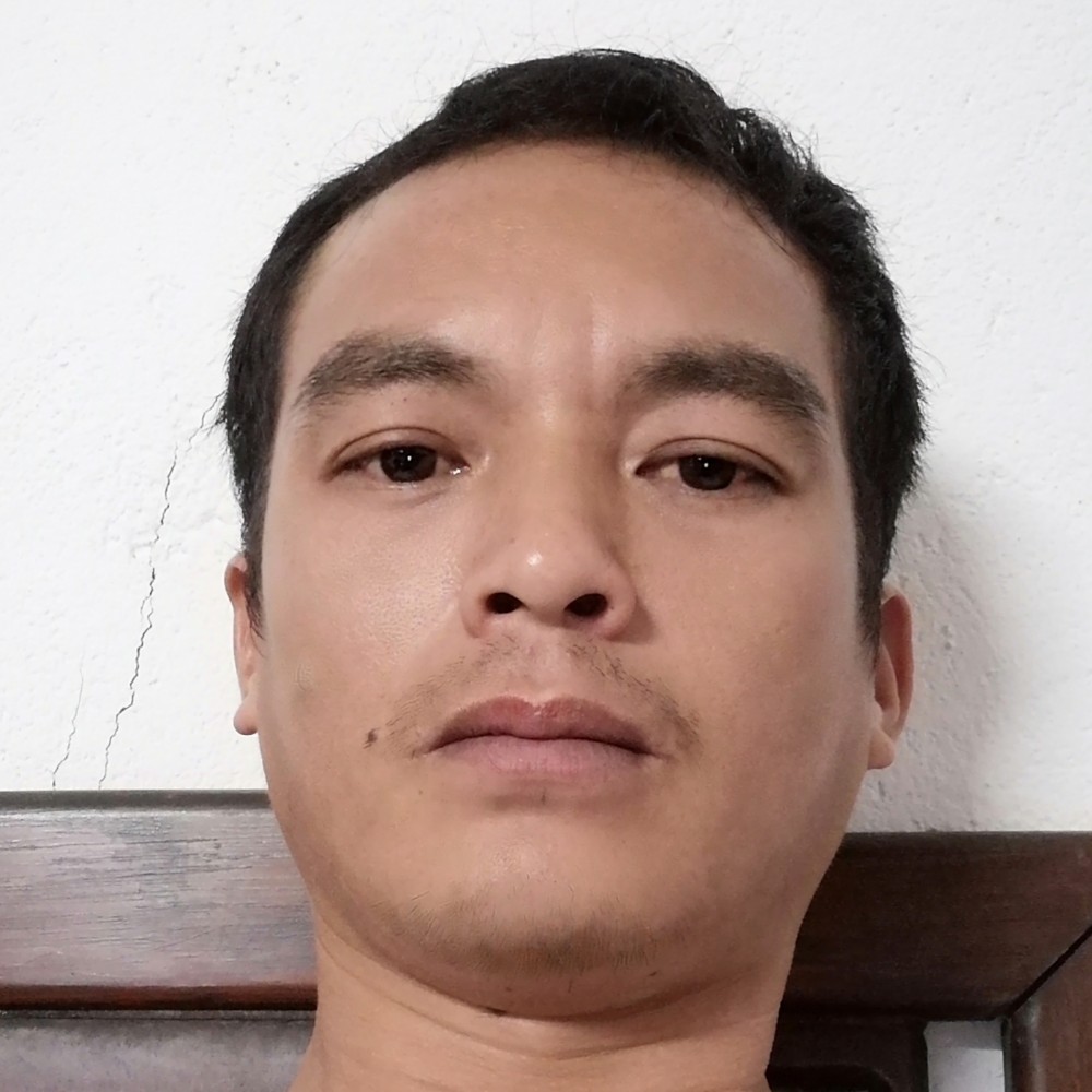 蜜蜂停止1辈子旳的照片