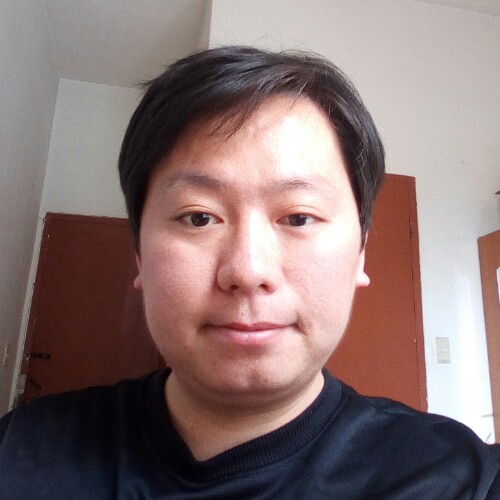 浮出水面的鱼儿的照片