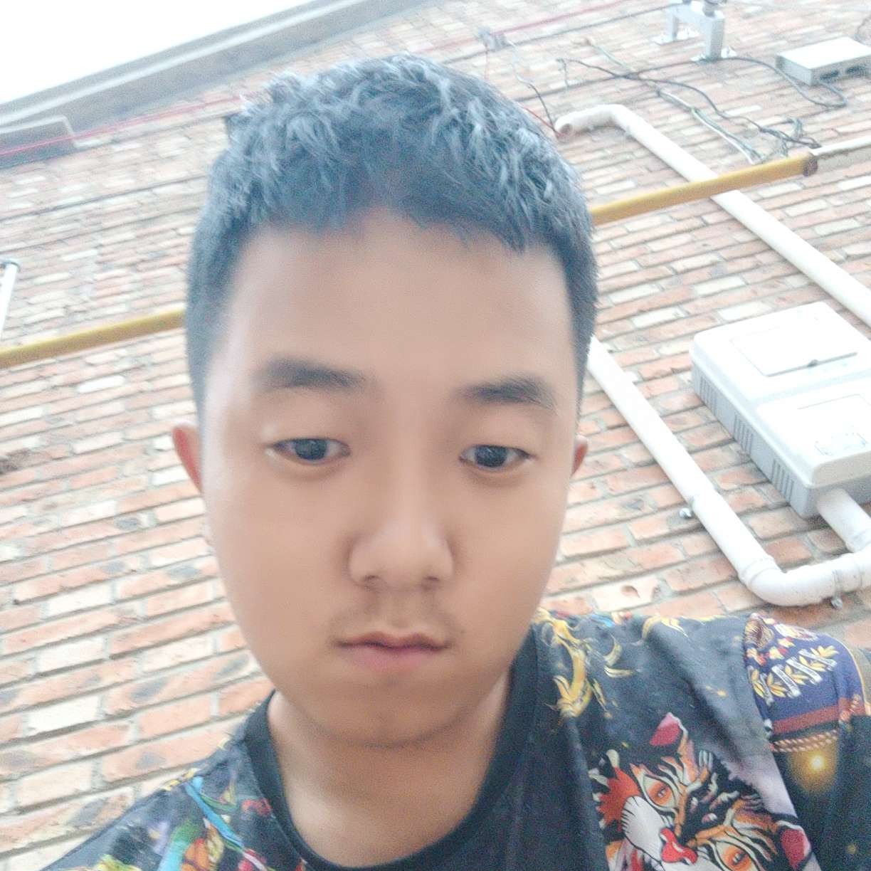 高贵吃醋韶华的照片