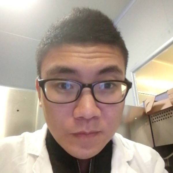 忧伤宝马的照片