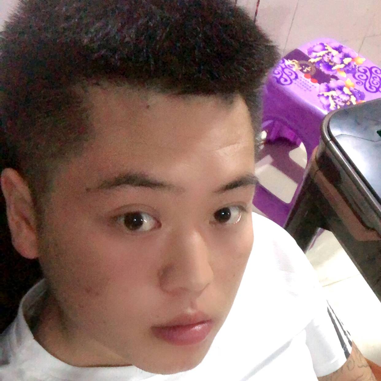 安静踢黑猫的照片